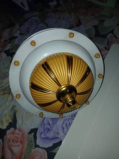 al new fan hai