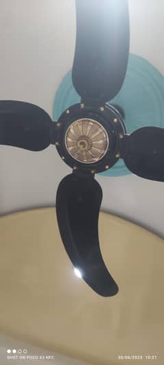 designer fab available