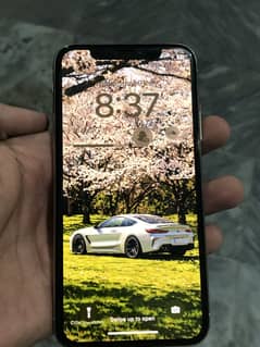 Iphone X non pta 256gb