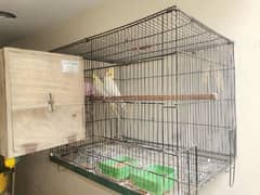 Cocktail full active breader pair