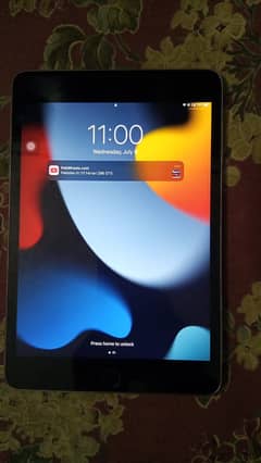 Apple Ipad Mini 4
