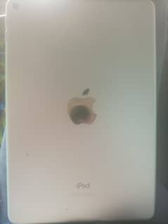 ipad mini 5