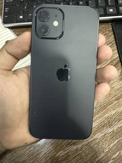 I phone 12