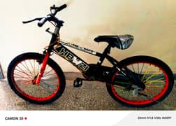 Sport cycle