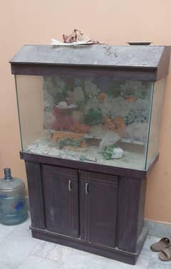 fish Aquarium