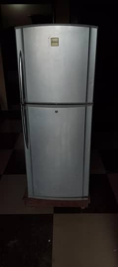 Toshiba fridge