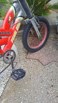 18 size cycle