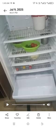 pel company medium fridge for sale