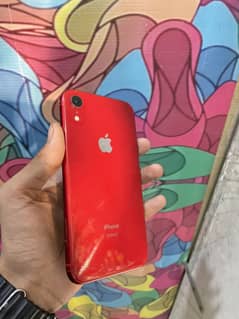 iPhone XR
