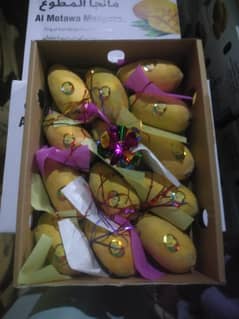Multani mango orched