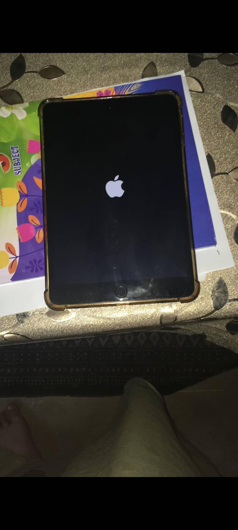 iPad mini 2 4
