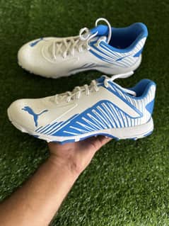 Puma Gripper Shoes