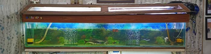 Aquarium for sale - 12mm thick glass - 7 ft (Only Aquarium)
