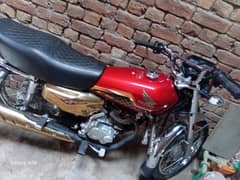 gold edition
