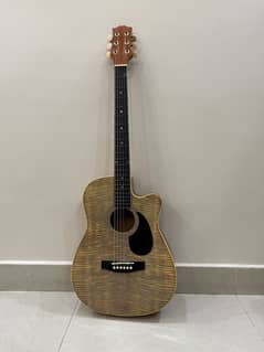 Acoustic Guitar