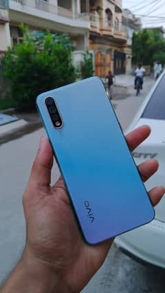 Vivo