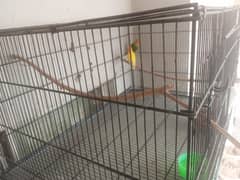 birds cage
