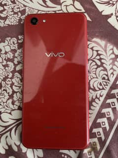 vivo