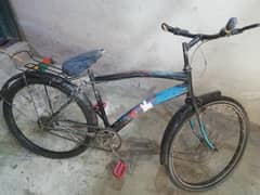 cycle