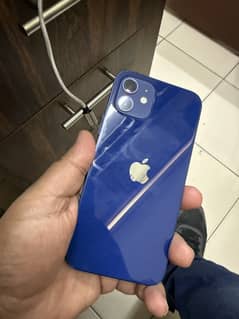 Iphone 12 pta approved