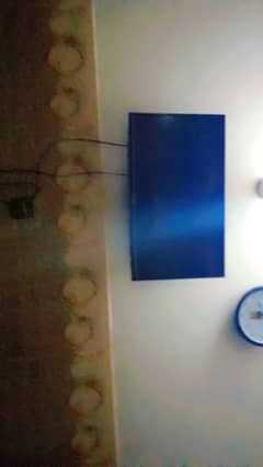 orient led