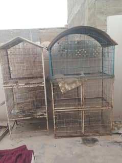 bird home