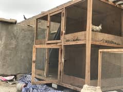 Big double portion cage