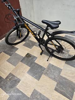 Giant Cycle