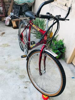 26 size Mazbot baike