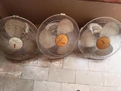 Fans Circumatic