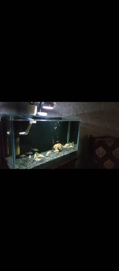 Aquarium