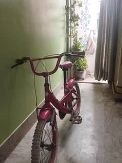 Pink cycle