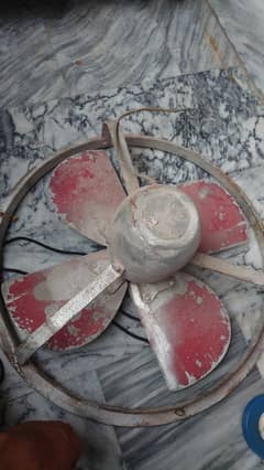 fan sale