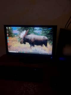 HP 22 LED