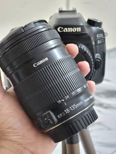 canon 80d
