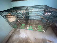 cage for sale