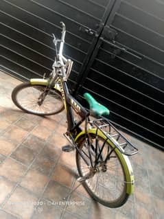 Deluxe bicycle for sale