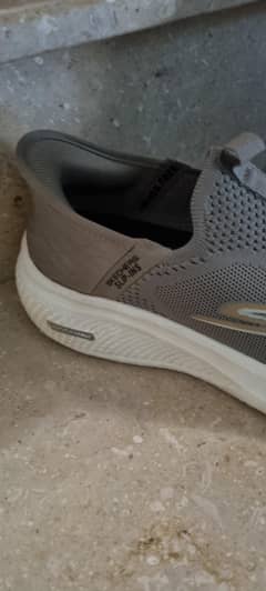 Sketchers