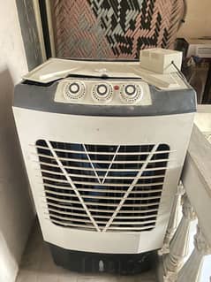 Cooler
