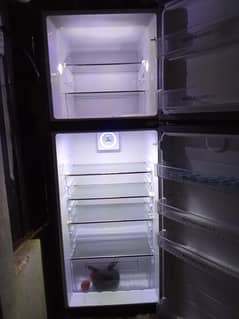Hair Refrigerator