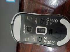Mouse