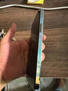 I phone 13 pro max 10/10 condition strachless