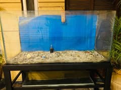 4 feet aquarium with iron stand