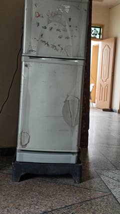 medium size refrigerator dawalance for sale with stabilizer