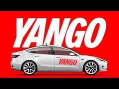 Captains hub yango partner  03196141792
