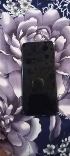 cnt:03404876679