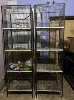 Bird Cages