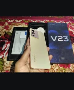 vivo v23 12+8+256