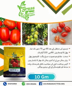 Tomatoes