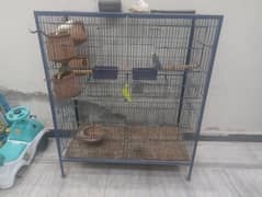 HEN AND BIRDS CAGE